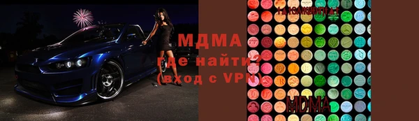 гашик Алексин