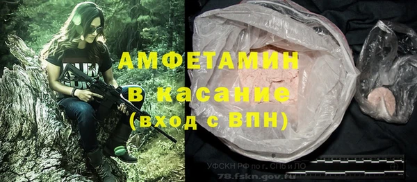 гашик Алексин