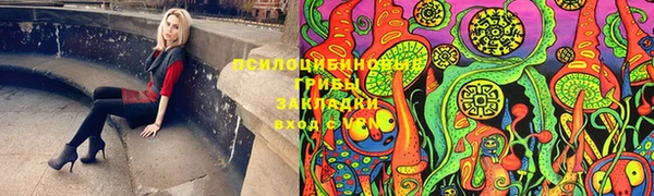 бошки Арсеньев