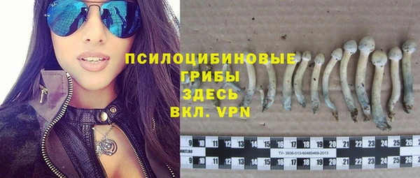 гашик Алексин
