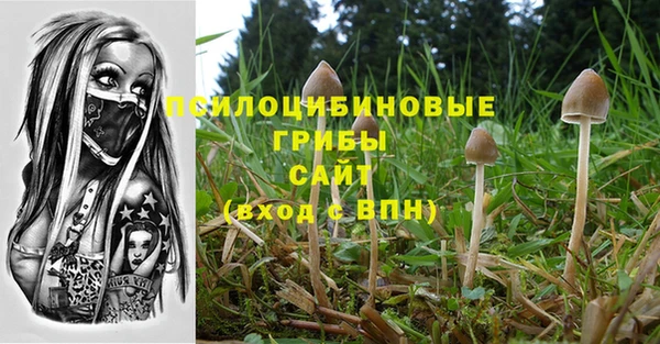 гашик Алексин