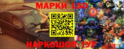 СК Донецк