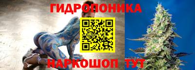 прущие крисы Донской