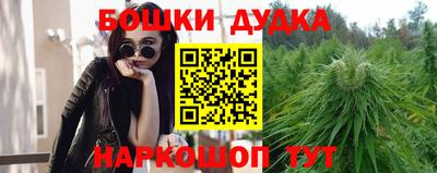 прущие крисы Донской