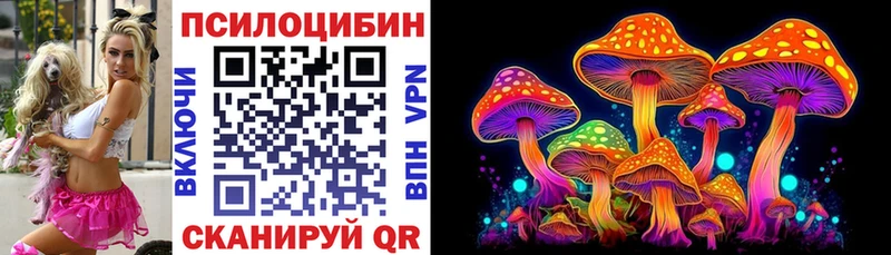 где найти   Лесной  Галлюциногенные грибы прущие грибы 