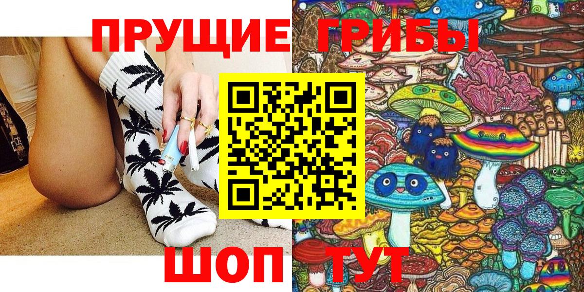 Галлюциногенные грибы мицелий Лесной