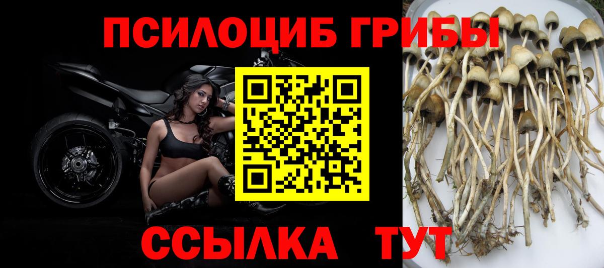 Псилоцибиновые грибы Magic Shrooms  Лесной 