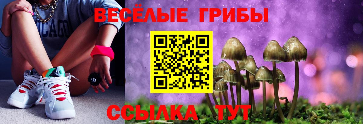 Псилоцибиновые грибы Psilocybine cubensis  Псилоцибиновые грибы мицелий  Вход с VPN  Лесной 
