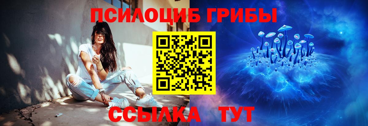 Галлюциногенные грибы Psilocybe Лесной